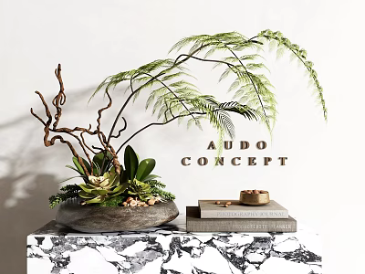 Decorative Ornament Set With Fern Succulents Decorative Branches Stone Planter And Stacked Books 3d model