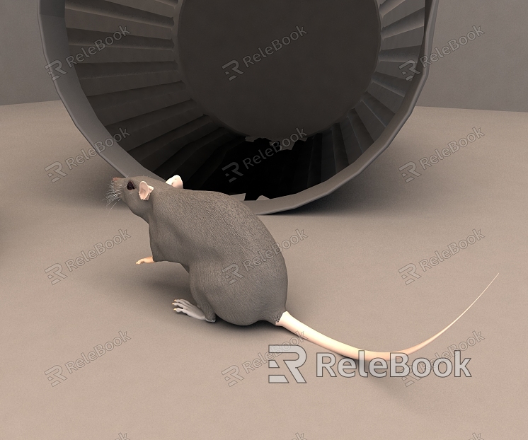 The Modern Mouse model