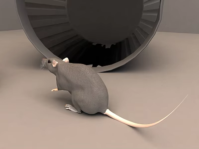 The Modern Mouse 3d model
