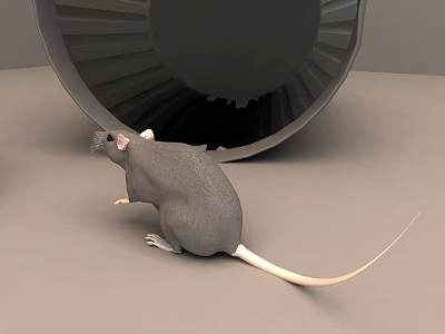 Small Reptile Lizard Near Black Circular Fan Shaped Object On Gray Surface 3d model