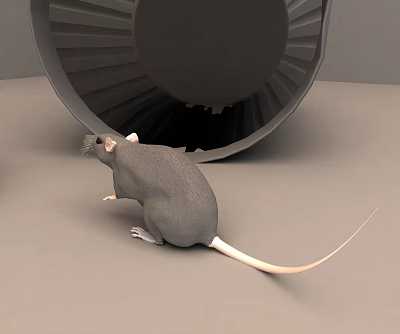 Small Reptile Lizard Near Black Circular Fan Shaped Object On Gray Surface 3d model Small Reptile Lizard Near Black Circular Fan Shaped Object On Gray Surface 3d model