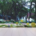 Beautiful Colorful Flowers And Green Plants In Urban Park With Trees And People Walking