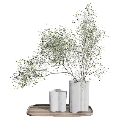 Bonsai Potted Plant With Lush Green Leaves In Modern White Ceramic Vases For Indoor Decor 3d model