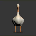 White Pelican Figurine With Orange Beak Feet And Black Wing Tips On Dark Background