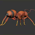 Detailed 3D Red Ant Model With Yellow Legs Black Eyes And Reflection On Dark Background
