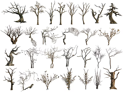 Collection of Various Bare Branch Trees with Diverse Trunk Shapes and Branch Forms 3d model