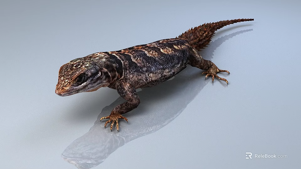 Detailed Lizard with Brown Black Patterns on Light Gray Surface with Reflective Shadow 3d model 