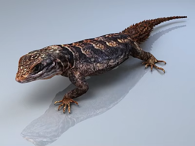 Detailed Lizard with Brown Black Patterns on Light Gray Surface with Reflective Shadow 3d model