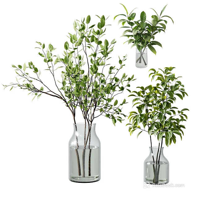 Clear Glass Vases With Lush Green Foliage And Branches For Home Decor 3d model 