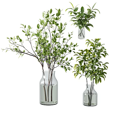 Clear Glass Vases With Lush Green Foliage And Branches For Home Decor 3d model