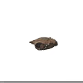 Weathered Stone Wood Decorative Piece With Natural Rough Texture And Irregular Shape