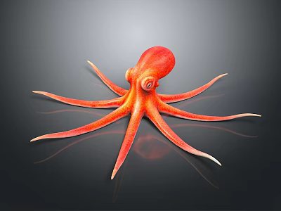 Red Octopus With Detailed Tentacles And Glossy Surface Against Black Background 3D Illustration 3d model