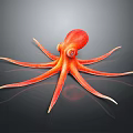 Red Octopus With Detailed Tentacles And Glossy Surface Against Black Background 3D Illustration