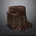Natural Plant Tree Stump With Textured Bark Cross Section On Dark Background 3d model