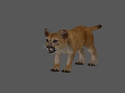 Realistic 3D Model of Reptile Lizard Standing on Gray Background Surface 3d model