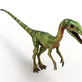 Realistic Green Standing Dinosaur With Long Neck Tail And Bipedal Stance