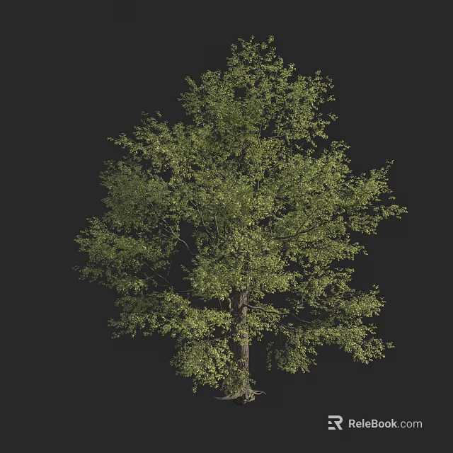 Lush Arbor with Green Leaves and Thick Trunk in Natural Environment 3d model 
