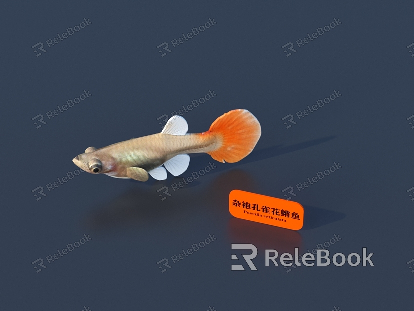 Fish 3D Model model