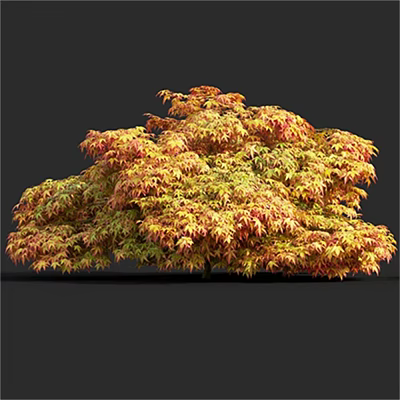 Stunning Autumn Arbor With Lush Yellow And Red Foliage Canopy 3d model