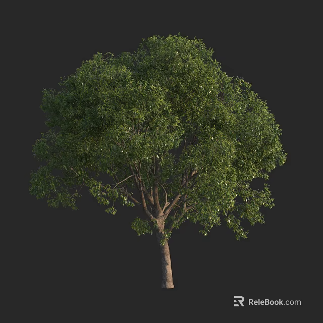 Arbor Featuring Lush Green Foliage Sturdy Trunk And Natural Growth 3d model 