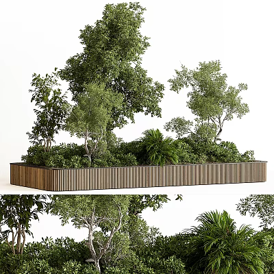 Indoor Natural Green Living Wall with Various Lush Plants and Wooden Structure Decoration 3d model