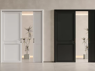 White and Black Sliding Doors on Grey Wall with Plant and Mirror Reflection 3d model