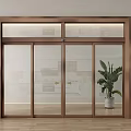 Modern Sleek Glass Sliding Door With Metal Frame And Indoor Plant Interior Design