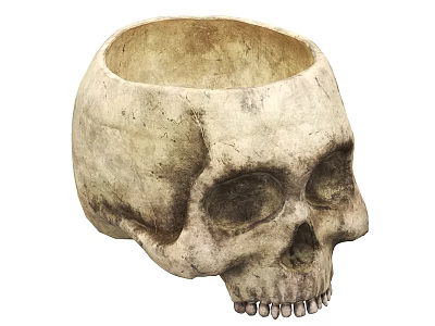 Vintage Human Skull Bowl Shaped Container With Weathered Bone Texture 3d model