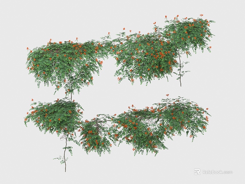 Lush Green Vines With Orange Flowers And Hanging Branches In Natural Growth 3d model 