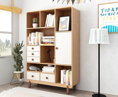 Modern Wooden Bookcase with Shelves Drawers Books Picture Frame Cactus Plant Camera Tripod Near Window 3d model