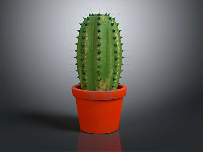 Green Cactus Plant With Sharp Spines In Orange Terracotta Pot On Gray Background 3d model