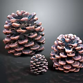 Brown Pine Cones Decorative Set For Home Decor With Reflection Background
