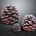 pine cone plant 3d model