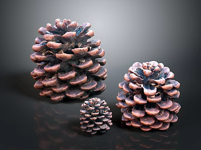 Brown Pine Cones Decorative Set For Home Decor With Reflection Background 3d model