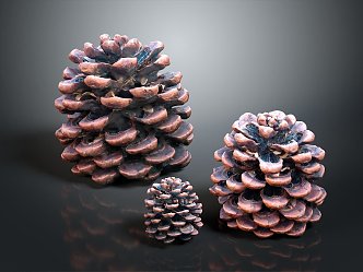 pine cone plant 3d model