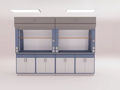 Medical Equipment Laboratory Double Unit Fume Hoods With Stainless Steel Cabinets Modern Design For Research 3d model