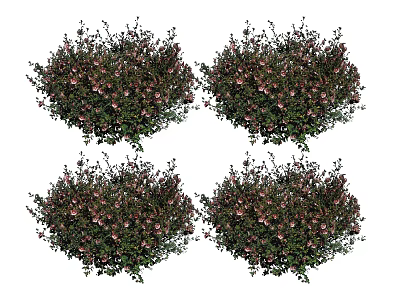 Four Lush Flower Bushes With Green Leaves And Pink Blooms For Garden 3d model
