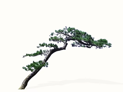 Elegant Curved Pine Arbor With Green Needles And Unique Branch Shape 3d model