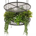 Bonsai Bonsai Panel Indoor Plants Metal Hanging Flower Pot 3d model