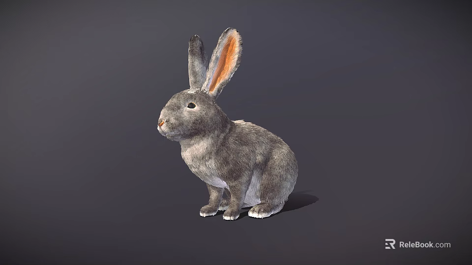 Gray Rabbit Game Movie Character With Long Ears In Sitting Pose On Dark Background 3d model 