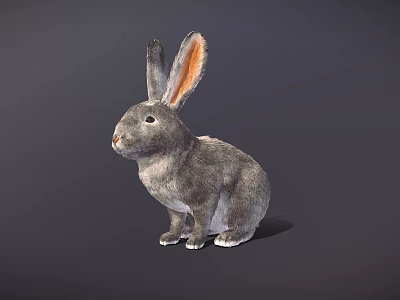 Gray Rabbit Game Movie Character With Long Ears In Sitting Pose On Dark Background 3d model