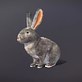 Gray Rabbit Game Movie Character With Long Ears In Sitting Pose On Dark Background