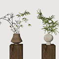 Two Minimalist Ceramic Vases with Fresh Green Plants on Wooden Pedestals