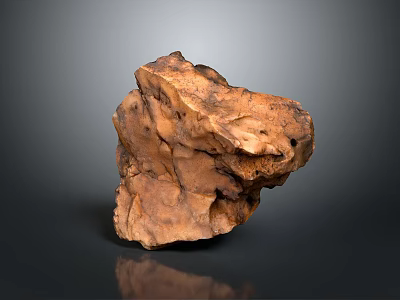 Unique Natural Wooden Stone With Brown Texture Rough Surface And Organic Form 3d model