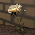 Floral Display With Creamy White Peony Green Leaves On Brown Wall Wooden Floor