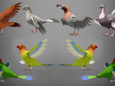 3D Models of Various Birds Including Pigeons and Parrots with Colorful Spread Wings 3d model
