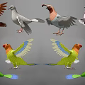 3D Models of Various Birds Including Pigeons and Parrots with Colorful Spread Wings