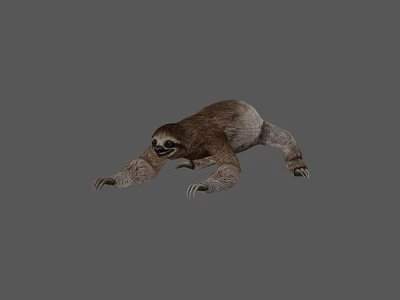 Reptile Crawling With Extended Limbs And Sharp Claws On Gray Background 3d model