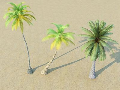 Three Palm Trees Standing On Sandy Ground With Green Leaves And Shadows 3d model