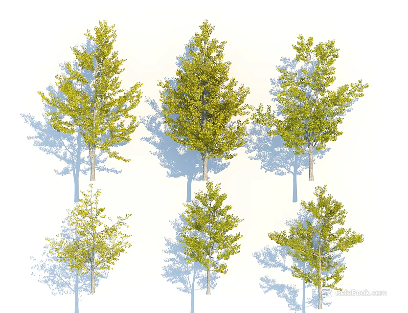 Various Arbor Trees With Different Green Foliage Forms And Shadows On White Background 3d model 